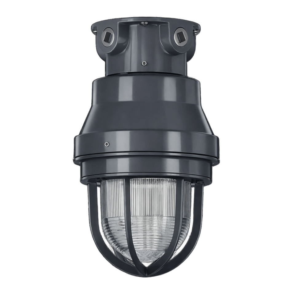 Portalámparas Industrial a Prueba de Explosión Entrada Conduit 19 mm Montaje a Techo Serie LE-PC RAWELT 27.26.4632.PC